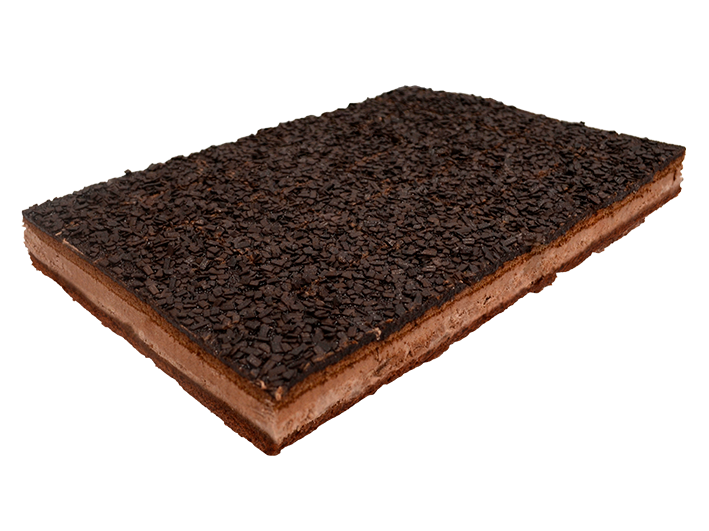 plancha-selva-negra