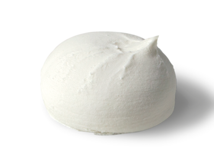 veneciana-nata